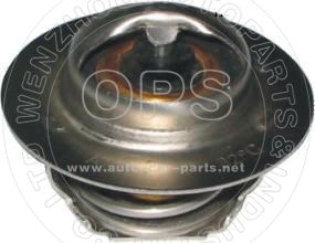 THERMOSTAT/OAT09-544807