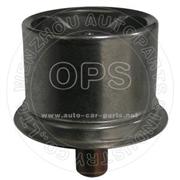  THERMOSTAT/OAT09-544603