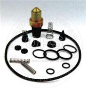 Repair kit for Oil Valve