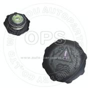  FUEl-CAP/OAT05-354801