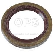  OIL-SEAL/OAT08-621021