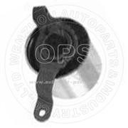 TENSIONER PULLEY